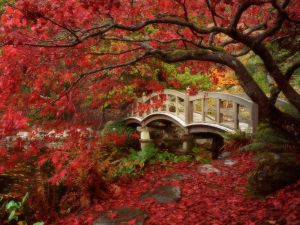 japanese_garden_royal_roads_university_british_columbia