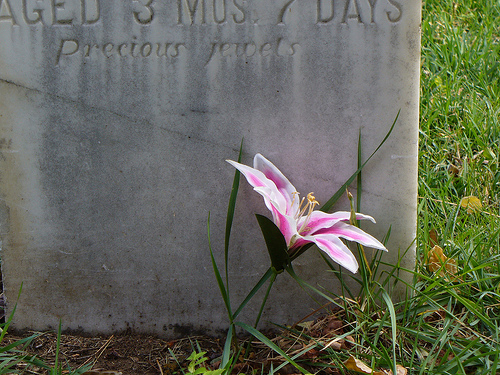 Flower Grave